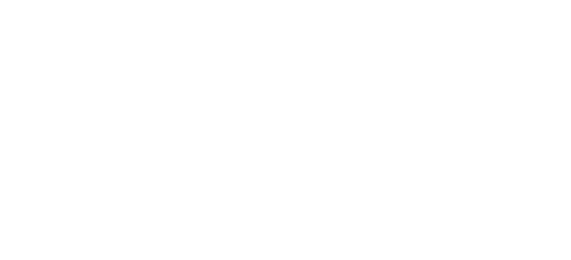 arts council